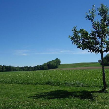 Ferienwohnung Katzheim Schlier Esterno foto